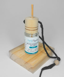 Difusor aromaterapia portátil - difusor para carros