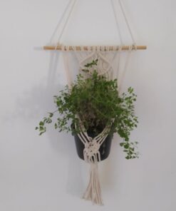 Plant hanger